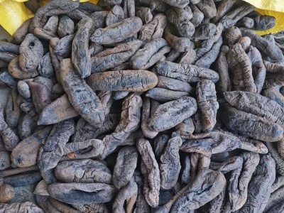 大号茄参 厂家直销 海茄子参 海番薯 原货八成干 个大肉厚图3