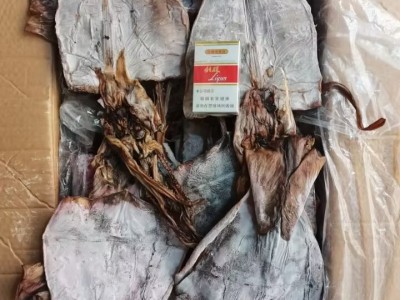 鱿鱼干 必鲁鱿鱼 干鱿鱼 特大鱿鱼片 可泡发 高涨发 产地货图2