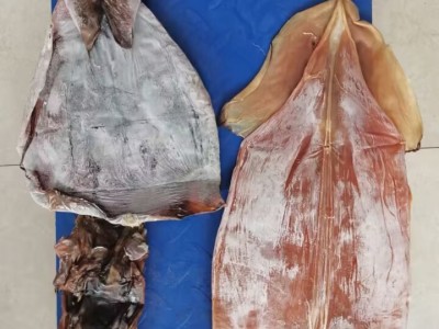鱿鱼干 必鲁鱿鱼 干鱿鱼 特大鱿鱼片 可泡发 高涨发 产地货图1