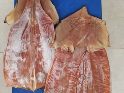 鱿鱼干 必鲁鱿鱼 干鱿鱼 特大鱿鱼片 可泡发 高涨发 产地货图4