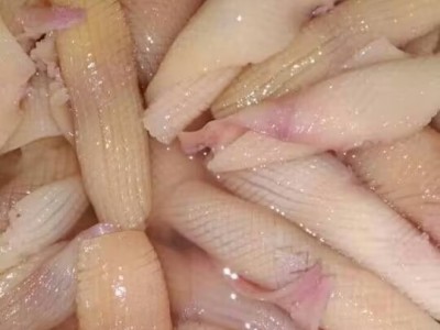 鱿鱼花 干鱿鱼 山东鱿鱼干 水发鱿鱼花 欢迎选购图1
