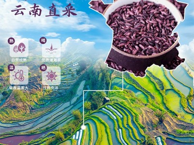 墨江紫米厂家真空包装一件代发批发五谷杂粮礼盒集采福利图3