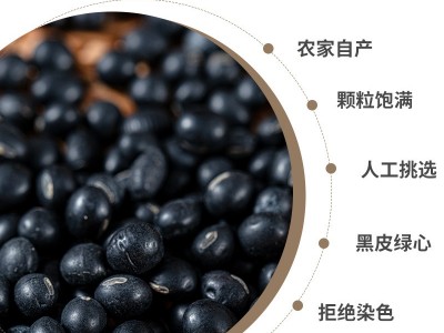 青仁黑豆25公斤装五谷杂粮厂家批发经销商进货量大从优图3