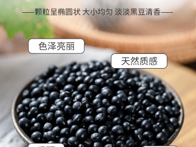 青仁黑豆25公斤装五谷杂粮厂家批发经销商进货量大从优图2