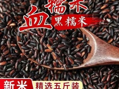 东北黑糯米血糯米农家自种黑米粥粽子饭团新米粗杂粮黑米当季图5