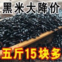 东北黑米黑糯米紫米批发农家五谷杂粮黑香米煮粥黑大米糙米