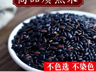 东北黑米黑糯米紫米批发农家五谷杂粮黑香米煮粥黑大米糙米图3
