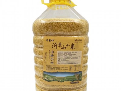 桶装沂蒙山地小黄米优质养胃小米粥黄小米五谷杂粮粗粮黄小米图5
