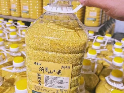 桶装沂蒙山地小黄米优质养胃小米粥黄小米五谷杂粮粗粮黄小米图3