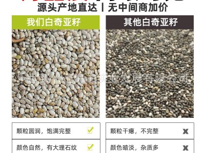 墨西哥进口白奇亚籽批发 即食烘焙代餐 非亚麻籽25kg 源头工厂图3