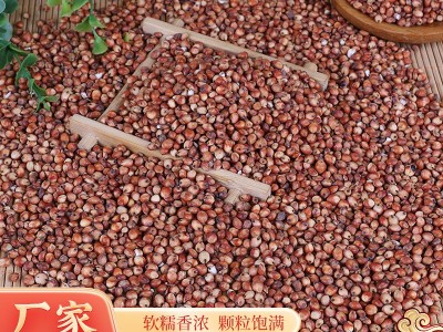 现货批发带皮红高粱酿酒新及糯红高粱酿醋澳洲东北粳高粱米100斤图3