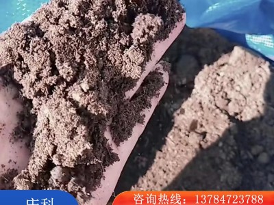 发酵纯羊粪 果树瓜果蔬菜农作物通用 质量优良庆科长期销售图3