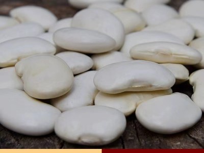 白芸豆农家自产无添加剂中白豆肾腰豆五谷杂粮500g中雪豆粗粮现货图5