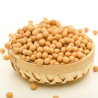 东北黄豆农家地种植现货批发豆粉末原料真空包装现货厂家直销