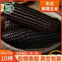 整箱东北黑糯玉米新鲜现摘黏粘甜玉米棒粒真空包装黑玉米棒批发