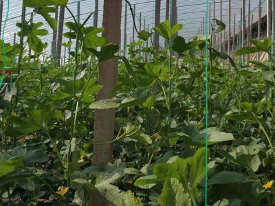 固定式雾线打药机园林果树农用打药机电动喷药机全自动喷雾打药机图3