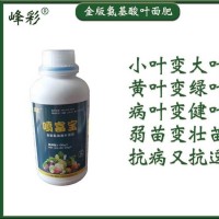 峰彩种植专用EM菌 益生菌原液 厂家直供 优惠力度大