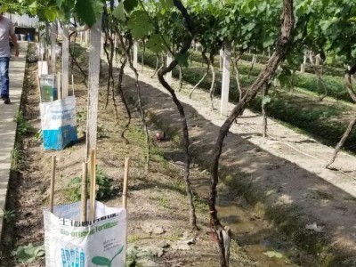生物有机肥 精选材料 氮磷钾丰富 峰彩品牌 粉剂易施用 五星服务保证图5