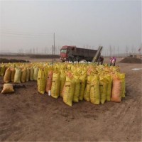 酵素生物鸡粪 发酵有机肥料批发销售 厂家直供有机肥厂家直销 改良土壤