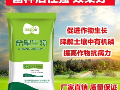 希望生物巨大芽孢杆菌解磷解钾菌种改良土壤有机肥添加图2