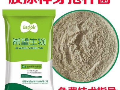 希望生物胶冻样芽孢杆菌解磷解钾菌种有机肥菌肥图3