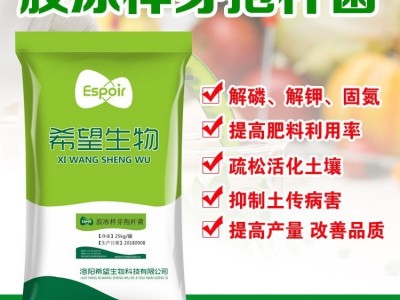 希望生物胶冻样芽孢杆菌解磷解钾菌种有机肥菌肥图2