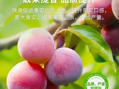 福赛福转色增甜水溶肥 生物碳复合酶 瓜果上色着色 新型生态有机肥图4