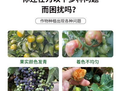 福赛福转色增甜水溶肥 生物碳复合酶 瓜果上色着色 新型生态有机肥图3