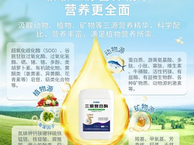 生根壮根 保花保果水溶肥 植物源 动物源 矿物源 微生物菌肥 防畸防裂图4