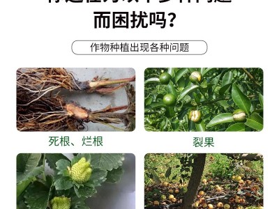 生根壮根 保花保果水溶肥 植物源 动物源 矿物源 微生物菌肥 防畸防裂图3