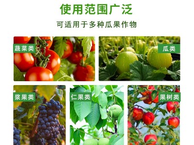预防线虫专用水溶肥 瓜果健康天然保障肥 抑菌抑制线虫 净化土壤肥料图5