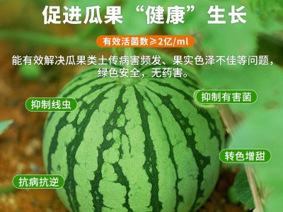 预防线虫专用水溶肥 瓜果健康天然保障肥 抑菌抑制线虫 净化土壤肥料图3