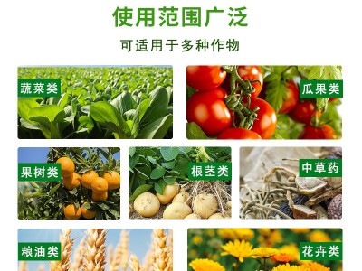 中微量元素水溶肥 预防缺素 促根壮苗 防畸防裂 增甜提香 肥料源头厂家图4