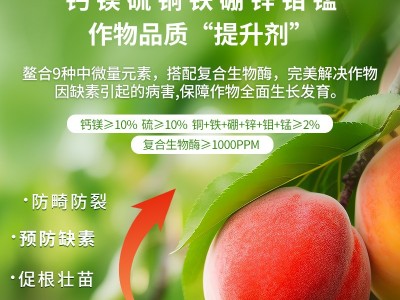 中微量元素水溶肥 预防缺素 促根壮苗 防畸防裂 增甜提香 肥料源头厂家图5