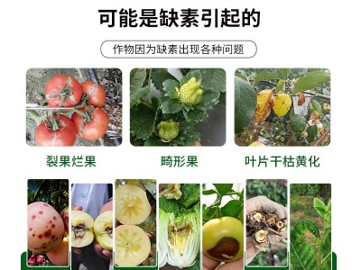 中微量元素水溶肥 预防缺素 促根壮苗 防畸防裂 增甜提香 肥料源头厂家图3