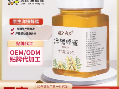 蜂厂瓶装洋槐花蜜500g农家自产液态蜂蜜洋槐蜂蜜温水冲泡 蜂蜜批发图3