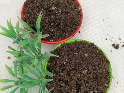 优质有机营养土 花卉蔬果栽种绿肥 绿溢源工厂定制 现货出售图5