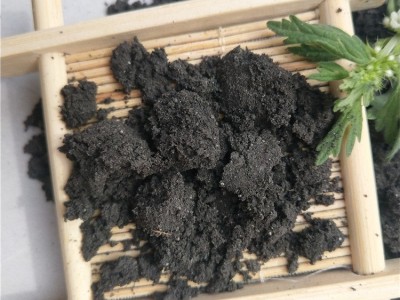 营养土养花土壤种植土种菜种花盆栽家用肥料多肉有机土图2