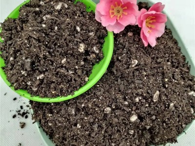 专业有机肥生产 绿溢源植物营养土 持水保肥 加强固根 育苗基质图3