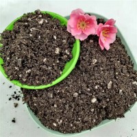 专业有机肥生产 绿溢源植物营养土 持水保肥 加强固根 育苗基质