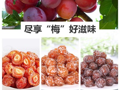 代发半边梅李梅凉果干独立包装混合酸甜解腻情人老婆梅子蜜饯图2