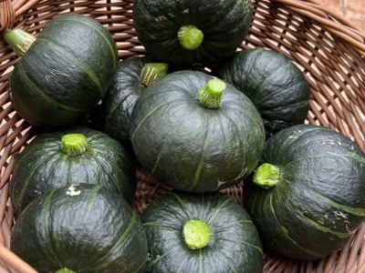 贝贝小南瓜新鲜软糯甜宝宝辅食南瓜早餐瓜果蔬菜图3