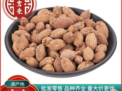 砂仁春砂仁砂仁米春沙仁 春砂仁 饱满大粒阳春500克批发图3