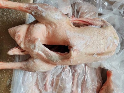 【东北老范两光鹅】去爪翅 去心肝肺 毛干净 大小均匀 出肉率高图3