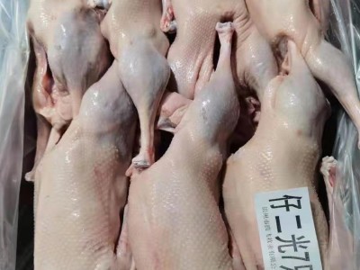 【东北老范两光鹅】去爪翅 去心肝肺 毛干净 大小均匀 出肉率高图2