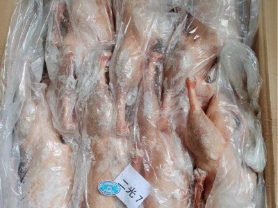【东北老范两光鹅】去爪翅 去心肝肺 毛干净 大小均匀 出肉率高图5