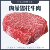 蒙天晟呼伦贝尔雪花牛肉商用火锅烤肉街头牛排可拍照备货一件代发