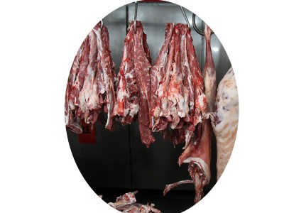 新鲜去骨羊腿肉5斤原切内蒙包现宰羔羊肉一件批发图5
