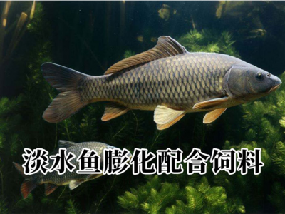 30蛋白混养鱼膨化漂浮料 适口性好生长快 易消化吸收图3