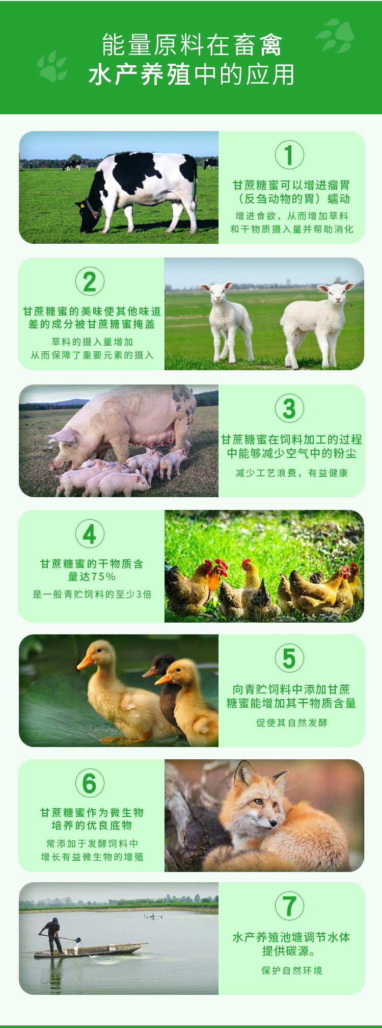 甘蔗糖蜜,广西甘蔗糖蜜,糖蜜液